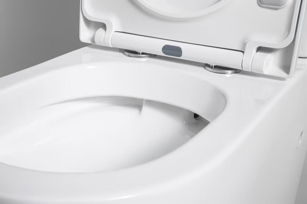 Ottavia Rimless Toilet Suite By Evara Bathware