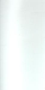 Star White Wall Tile 300 x 600
