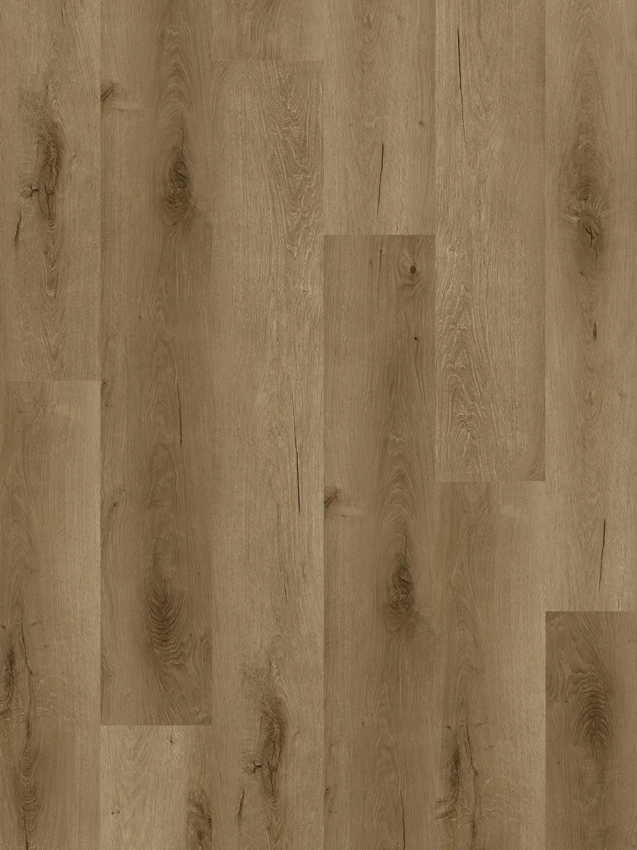 Ornato Hybrid Elite 6.0