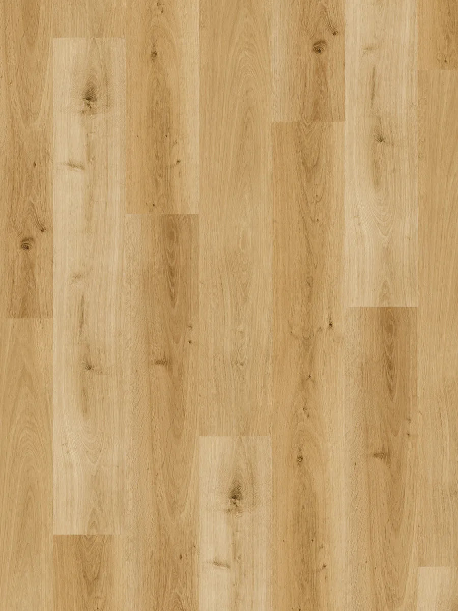 Ornato Hybrid Elite 6.0