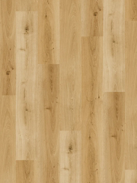 Ornato Hybrid Elite 6.0