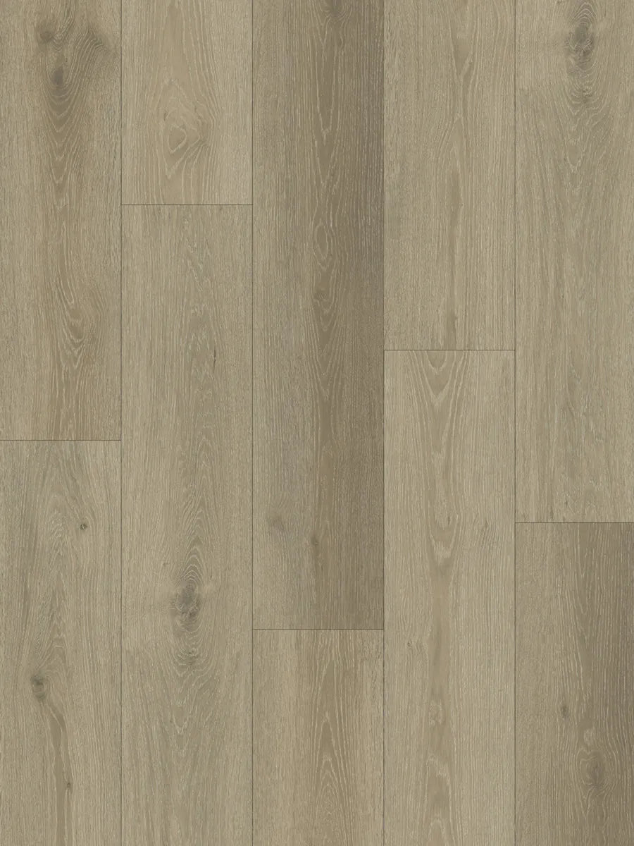 Ornato Hybrid Elite 6.0