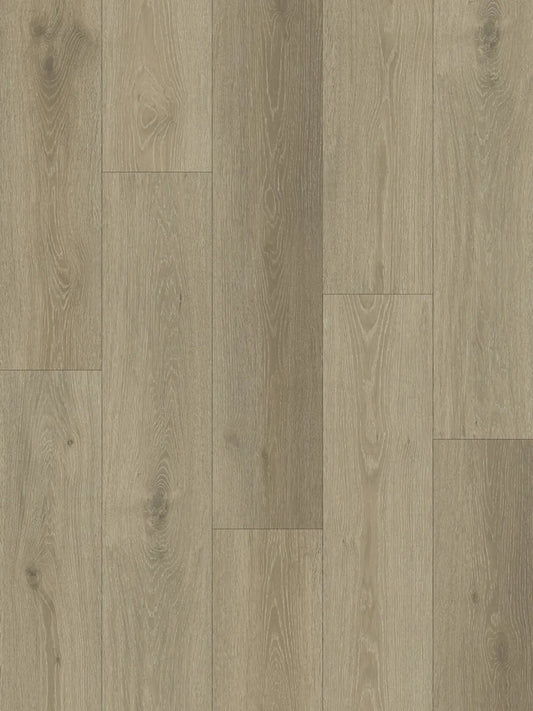 Ornato Hybrid Elite 6.0