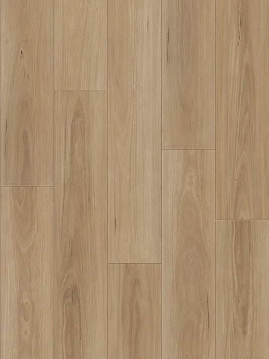 Ornato Hybrid Elite 6.0